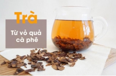 CÀ PHÊ TRÀ (CASCARA) LÀ GÌ?