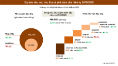 GIÁ CÀ PHÊ CÓ THỂ TĂNG TRONG NĂM 2020 BỞI NGUỒN CUNG HẠN CHẾ VÀ NHU CẦU TIÊU THỤ LỚN