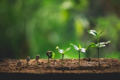 MỘT NGÀY, CAFE THÌ THẦM KỂ ...