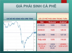 DỰ BÁO GIÁ CÀ PHÊ TIẾP TỤC GIẢM TRONG THÁNG 10/2020