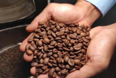 HIỂU VỀ VỊ ĐẮNG CỦA CAFE